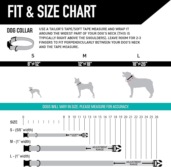 Wolfgang Heavy Duty, Adjustable Dog Collar with Quick Release Nylon Buckle for Walking & Training, LazyDaisy Print, Small