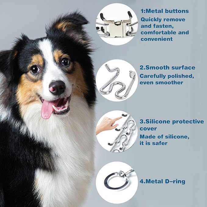 Prong Collar for Dogs,Dog Training Collar with One Professional Training Leash,Adjustable Pinch Collar with Quick Release Metal Buckle, No Pull Choke Collar for Small Medium Large Dogs（Silver, S）.