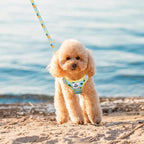 EXPAWLORER Small Dog Harness and Leash Set - Cute Puppy Harness Leash Dog Collar with AirTag Holder Silicone Case, Soft Padded Step in Pet Vest Reflective for Outdoor Walking, Pineapple XS