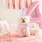 Dog Birthday Bandana with Hat and Dress Girl Set Puppy Birthday Party Supplies Cute Tutu Skirt Outfit for Small Medium Large Dogs Decorations(Purple) (Rose red)