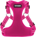 Best Pet Supplies Voyager Adjustable Step-in Flex Breathable Mesh Dog Harness for Small Medium Large Dogs (Fuchsia), M