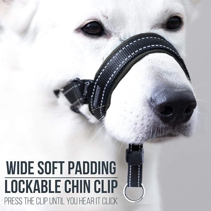 GoodBoy Dog Head Halter with Safety Strap - Stops Heavy Pulling On The Leash - Padded Headcollar for Small Medium and Large Dog Sizes - Head Collar Training Guide Included (Size 2, Black)