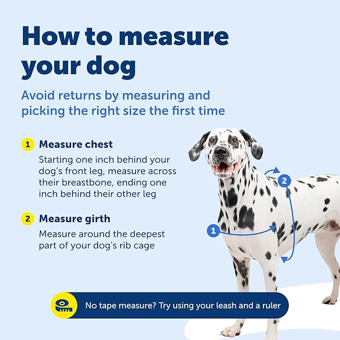 PetSafe Deluxe Easy Walk Harness - Trainer-Trusted Dog Chest Harness with Breathable Martingale Loop Design - Helps Stop Pulling with No Choking & Gagging - Medium - Rose