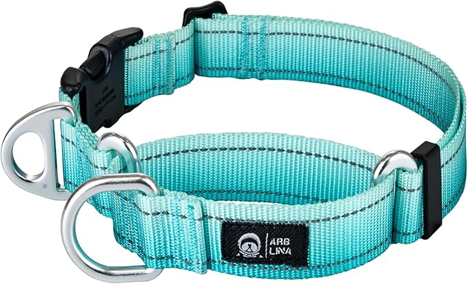 Martingale Collar for Dogs Large Medium Small Heavy Duty Buckle Dog Collar with Tag Ring Reflective Nylon Gradient Dog Collar No Pull Training Collar
