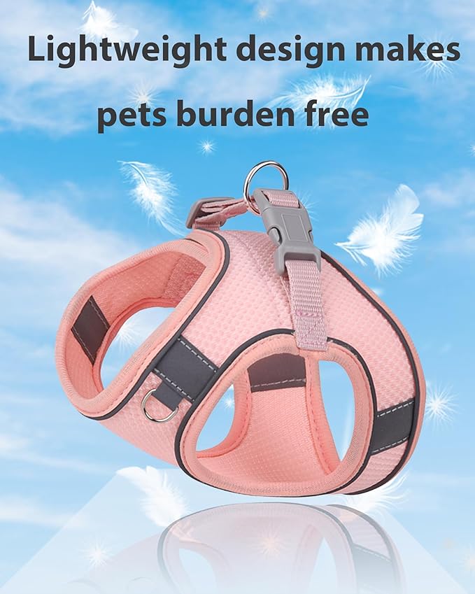 Dog Harness for Small Medium Sized Dog, Step in Puppy Harness and Leash Set Training Walking. (Peach, XS)