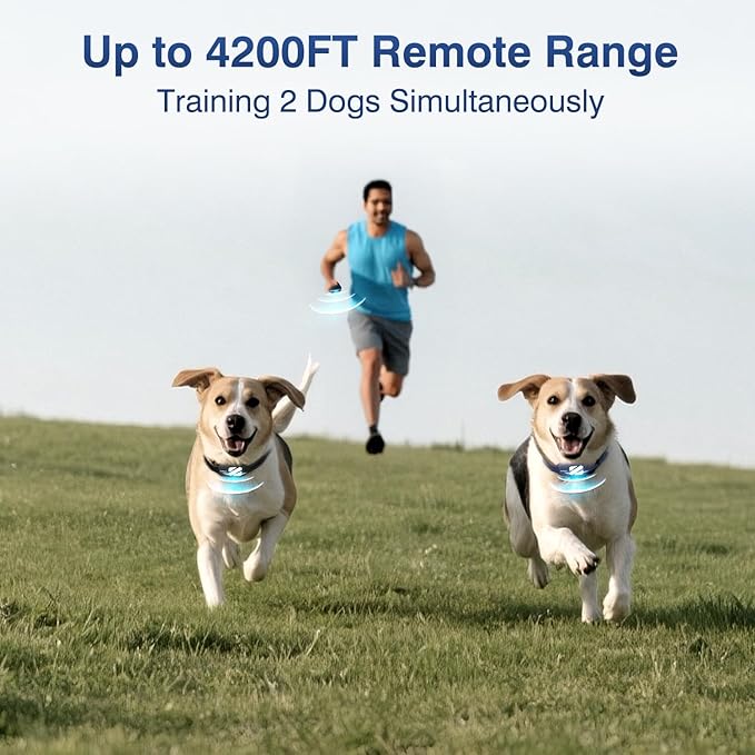 Dog Training Collar 2 Dogs (20-140 Lbs) - 4200FT Dog Training Collar with Remote, 4 Powerful Modes with 119 Training Levels Rechargeable Electric Dog Collar for Large Dogs