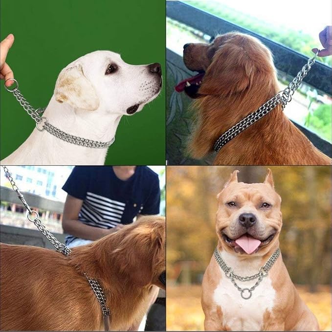 Dog Chain Collar Metal Martingale Collar Anti Chew Training Collars Chew Proof Dog Slip Collar Chrome Plated Double Link Dog Collar for Small Medium Dogs (Silver, Medium(Neck 16-21''))