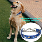 Heavy Duty Chain Dog Collar - No-Pull Martingale Choke Collar with Adjustable Slip Training Collar for for Medium, Large & XL Dogs（Elephant XL）