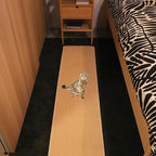 Extra Large Cat Wall Climbing Carpet 67"X16", Tall Cat Scratch Pad with 8 Nails, Door Hanging Sisal Pet Scratcher Mat for Furniture Couch Sofa Protector (Camel)