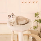 59" Modern Cat Tree Multi-Level Large Cat Tower Heavy Duty Wooden Cat Tree with Hammock,Cotton Scratching Post and Washable Cushions