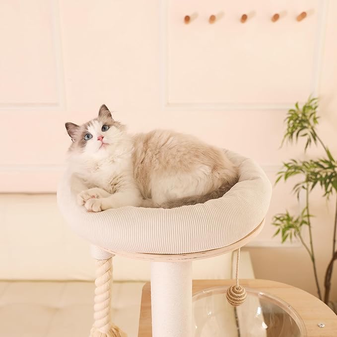 59" Modern Cat Tree Multi-Level Large Cat Tower Heavy Duty Wooden Cat Tree with Hammock,Cotton Scratching Post and Washable Cushions