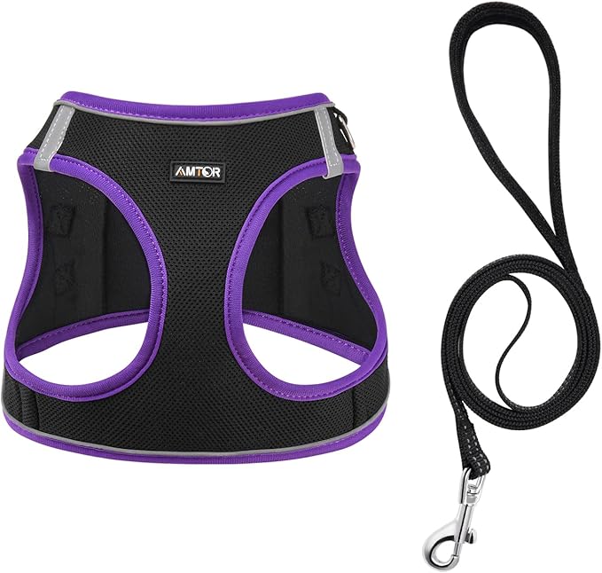 AMTOR Small Dog Harness with Leash Set, No Escape Easy Walk Puppy Harnesses for Training Walking, Step-in Reflective Soft Dogs Vest for XS S Medium Extra-Small Large Sized Dog(L,Black/Purple)