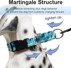 Reflective Martingale Collar with Buckle Adjustable Nylon Training Pet Collars for Small Dogs (Turquoise Shell, S)