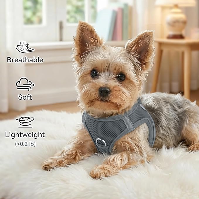 Joytale Small Dog Harness, Breathable Mesh Step-in Vest, Reflective Soft Padded Harnesses for Cats and Puppies Dogs, Gray, XXXS