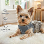 Joytale Small Dog Harness, Breathable Mesh Step-in Vest, Reflective Soft Padded Harnesses for Small and Medium Dogs, Gray, M