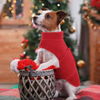 Queenmore Soft Fleece Dog Jacket, Warm Winter Dog Clothes with Leash Hole, Dachshund Sweater for Small Dogs Cats Boy or Girl (Red, S)