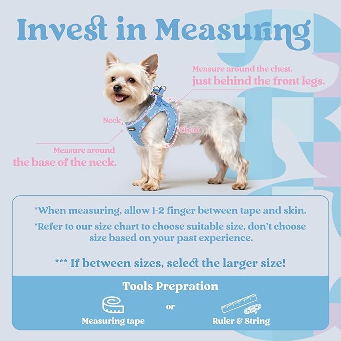rabbitgoo Small Dog Harness, Step-in Soft Mesh Puppy Vest with Safety Buckle, Breathable Reflective Pet Harness for Small Medium Dogs, Blue & Plaid Trim L