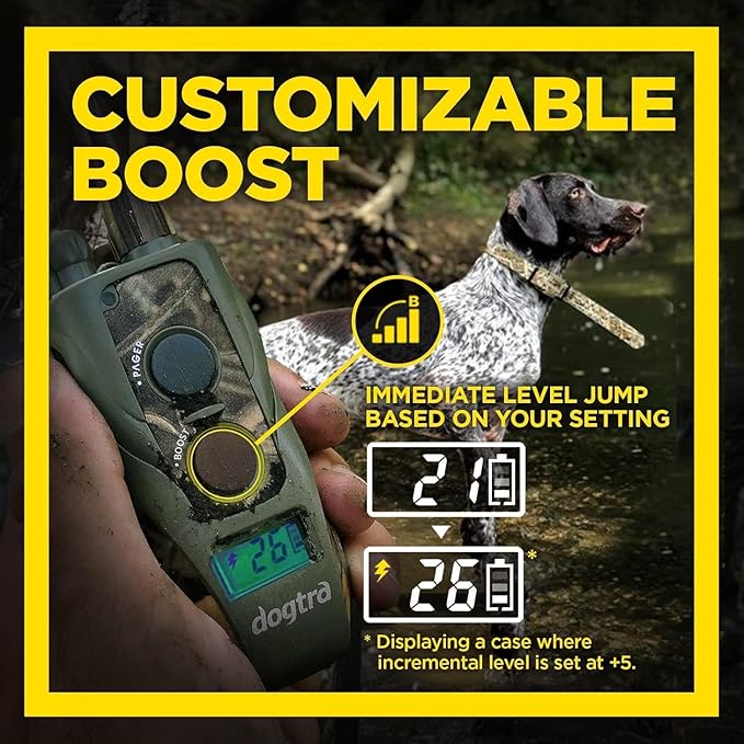 Dogtra 1900S Wetlands Boost & Lock Remote Dog Training E-Collar Ergonomic 3/4-Mile Range, Waterproof, Rechargeable, High-Output, Camouflage