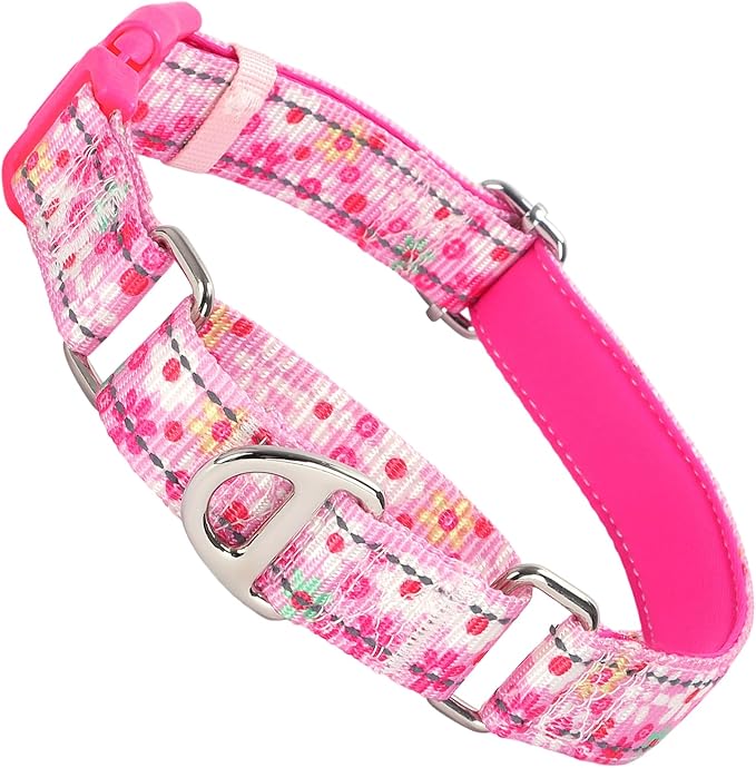 Pink Floral Martingale Collar for Dogs - Reflective Nylon with Quick Release Buckle & Padded Comfort - No Slip Choke Heavy Duty Collar for Training, Walking & Nighttime Use M