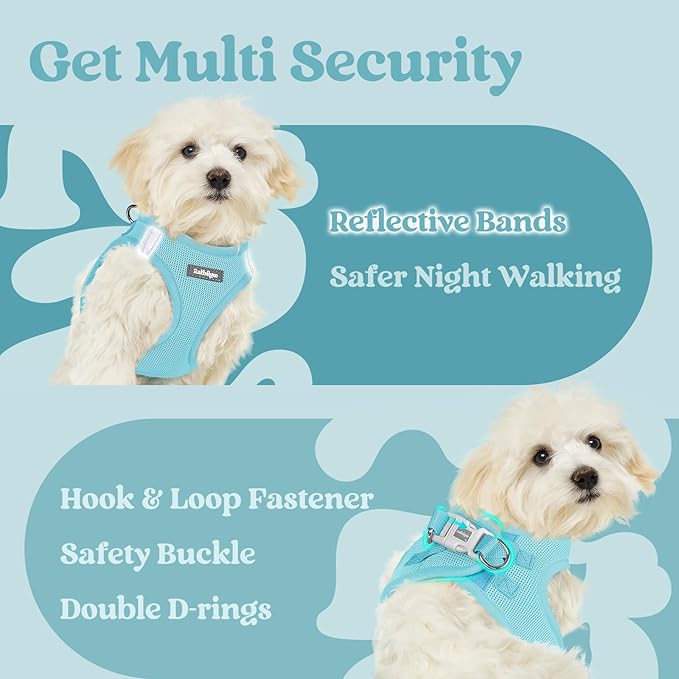 rabbitgoo Small Dog Harness, Step-in Soft Mesh Puppy Vest with Safety Buckle, Breathable Reflective Pet Harness for Small Sized Dogs, Mint Blue M