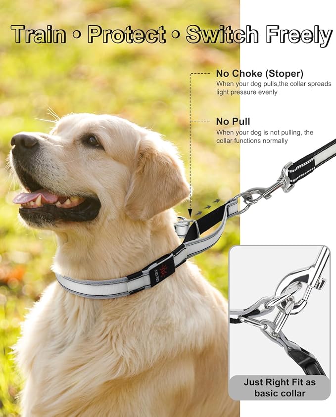 Light-Up Martingale Collar for Dogs Multi-Color, No Pull Adjustable Collars with Buckle, LED Reflective Choke Collar, Rechargeable Lighted Training Dog Collars for Small Medium Large Dogs-Large