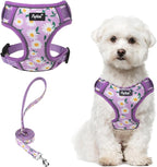 PUPTECK Small Dog Harness and Leash Set, No Pull Adjustable Puppy Cat Harness, Reflective Soft Mesh Pet Vest Small Sized, Daisy, M