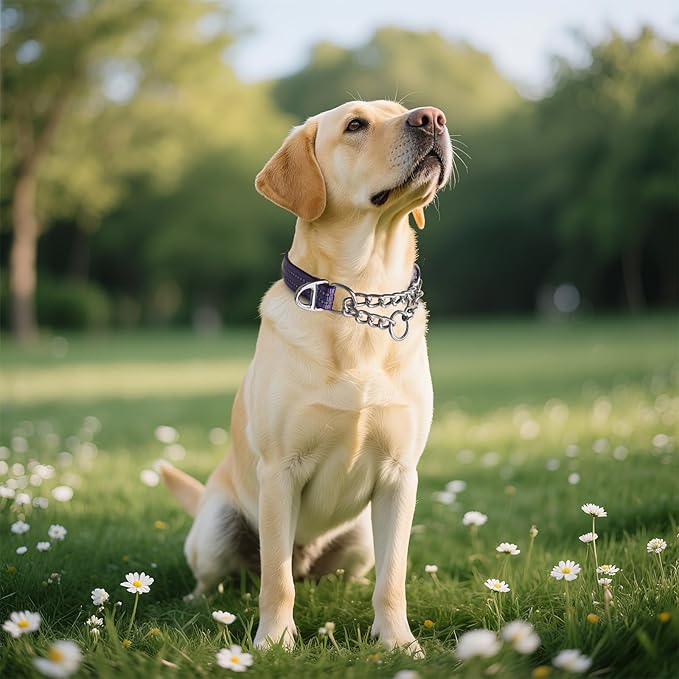 Reflective Martingale Collar for Dogs - Heavy Duty No Pull Dog Collar with Padded,Adjustable Dual D-Rings Design Choke Chain Collars for Large Medium XL,XXL Dogs Training Collar（Purple L