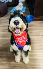 10PCS Dog Bandanas Happy New Year for Large Breed Dog XL XXL Kerchief Triangle Bibs Head Scarves for Boys and Girls Grooming Costume