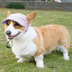 Dog Baseball Cap, Dog Cat Summer Beach Visor Hat with Ear Holes, Adjustable Puppy Sunbonnet Headdress (Purple, Small)