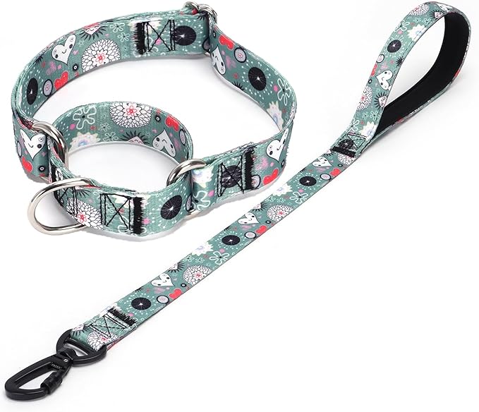Martingale Collar and Leash Set, Premium No Slip Martingale Collar for Dogs Medium Large, Girl Dog Collars Training (NO14, M)