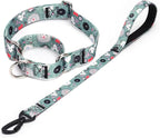 Martingale Collar and Leash Set, Premium No Slip Martingale Collar for Dogs Medium Large, Girl Dog Collars Training (NO14, L)