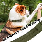 Tactical Dog Collar Military Adjustable Dog Collars Soft Nylon Training Collar with Patch Heavy Duty Metal Buckle Collars for Medium Large Dogs (Green, L)