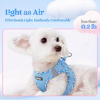 rabbitgoo Dog Harness Small Medium Sized and Leash Set, Step in Soft Light Puppy Vest, Breathable Mesh Pet Harness, Reflective for Safe Easy Walking, Blue & Plaid Trim L