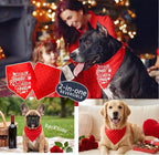 Reversible Dog Bandanas for Valentine's Day - Cute Lettering & Heart Pattern 2-in-1 Holiday Costume Pet Scarf, 1pack Snap Button Bandana for Medium & Large Breed (30-75lbs)