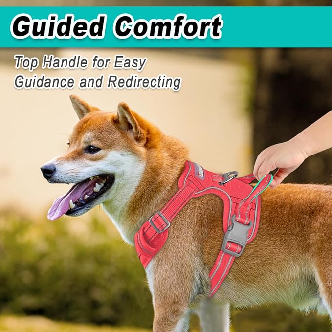 BARKBAY Dog Harness No Pull Mesh for Large Dogs - Adjustable, Reflective, Comfortable, No Choke, Heavy-Duty - Perfect for Outdoor Training, Walking, and Hiking - Strong & Durable - L & Red Mesh