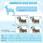 Lukovee No Pull Dog Harness and Leash Set, Soft Padded Small Dog Harness, Neck & Chest Adjustable Reflective Vest Puppy Harness with 4ft Lightweight Anti-Twist Dog Leash for Small Dogs (XXS, Blue)