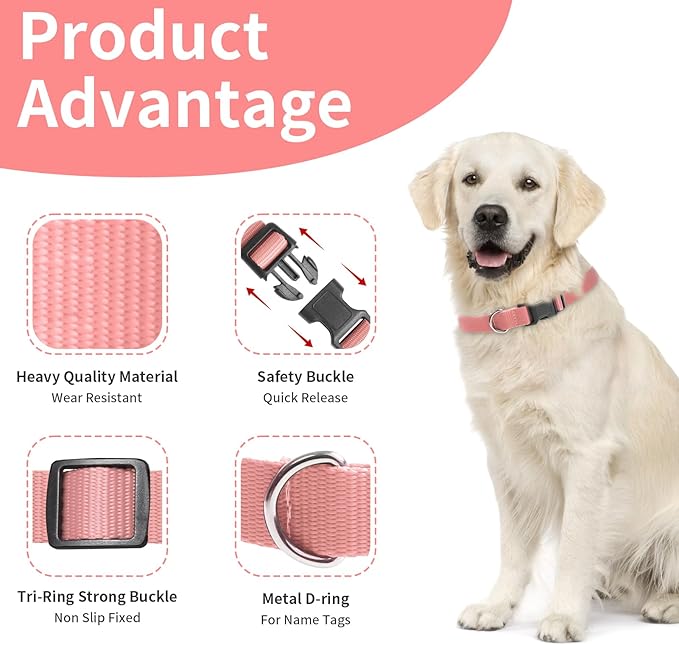 Modern Stylish Ecollar Replacement Strap, Nylon 3/4" Replacement Collar for Shock Collar with Quick Release Buckle, Adjustable Shock Collar Replacement Strap for Small Medium Large Dogs (Blue & Pink)