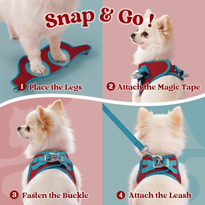 rabbitgoo Dog Harness Small Sized and Leash Set, Step-in Breathable Pet Harness, Soft Walking Reflective Puppy Vest for Small Dogs, Red & Teal, XXS