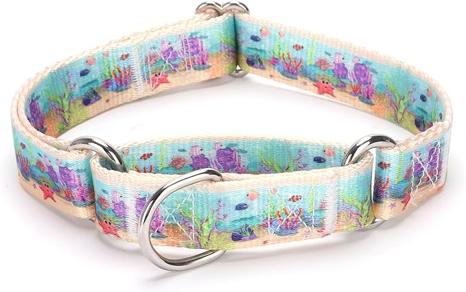 Serijoars Adjustable Martingale Dog Collar Heavy Duty Nylon Dog Collar for Medium Large Dogs Walking Training Boy and Girl Dogs (M, Ocean)