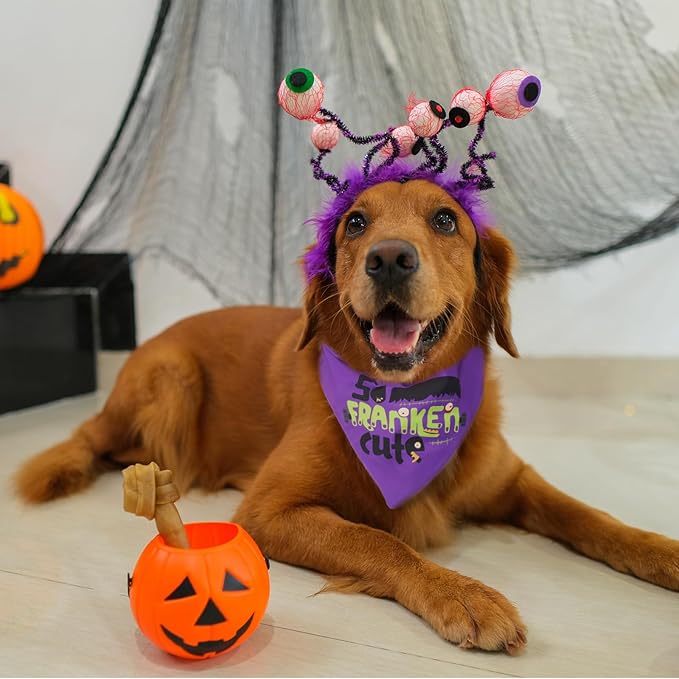 Halloween Dog Bandanas with Saying - So Franken Cute - Holiday Cat Triangle Neck Scarf, Costume Pet Accessories, 5-30lbs, Small and Medium Breed
