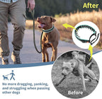Mayerzon Martingale No Pull Collar for Medium Large Dogs, Patented Anti Pull Dog Collar with Buckle for Walking Training, with Neoprene Padding and Reflective Stitching, Adjustable(Teal Trim, M)