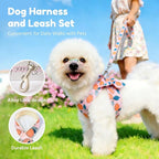 BAEJMJK Dog Harness and Leash Set with Bow Knot No Pull Pet Floral Harness with D-Ring Soft Mesh Dog Harness Vest Set Escape Proof Princess Puppy Harness for Small Girl Dogs Cats（Orange L）