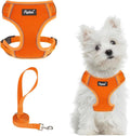 PUPTECK Small Dog Harness and Leash Set, No Pull Adjustable Puppy Cat Harness, Reflective Soft Mesh Pet Vest Small Sized, Orange, S