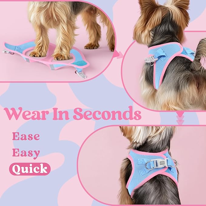 rabbitgoo Small Dog Harness, Step-in Soft Mesh Puppy Vest with Safety Buckle, Breathable Reflective Pet Harness for Small Medium Dogs, Blue & Light Pink XL
