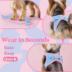 rabbitgoo Small Dog Harness, Step-in Soft Mesh Puppy Vest with Safety Buckle, Breathable Reflective Pet Harness for Small Medium Dogs, Blue & Light Pink XL