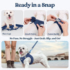 rabbitgoo Dog Harness Small Medium Sized and Leash Set, Step in Soft Light Puppy Vest, Breathable Mesh Pet Harness, Reflective for Safe Outdoor Walking, Navy Blue L