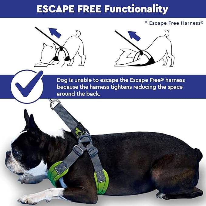 Gooby Escape Free Sport Harness - Blue, Medium - No Choke Step-in Patented Neoprene Small Dog Harness with Four-Point Adjustment - Perfect on The Go Dog Harness for Medium Dogs No Pull and Small Dogs