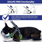 Gooby Escape Free Memory Foam Harness - Green, Small - No Pull Step-in Dog Harness with Four Point Adjustment for Small to Medium Dogs
