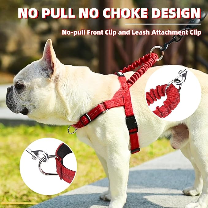 PUPTECK No Pull Dog Harness Small Sized Dog, Adjustable Reflective Pet Vest Harness with Bungee Handle, Escape Proof No Choke Harness for Small Dogs Walking Training, Red XS