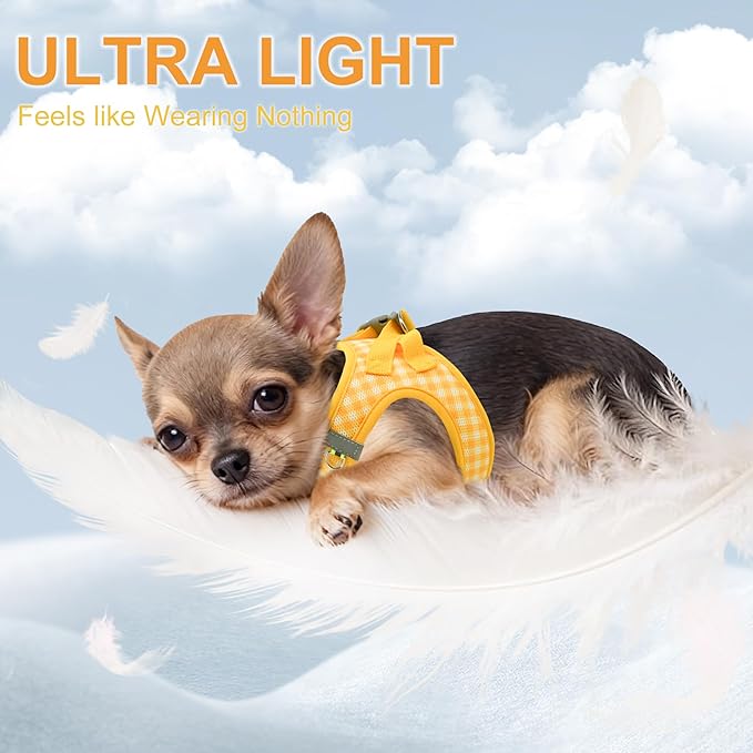 AIITLE Easy Walk Dog Vest Harness and Leash Set, Pet Supply No Pull, Breathable Mesh, Reflective Stripes, Adjustable Escape Proof Pet Outdoor Harnesses for Medium Dogs Yellow L